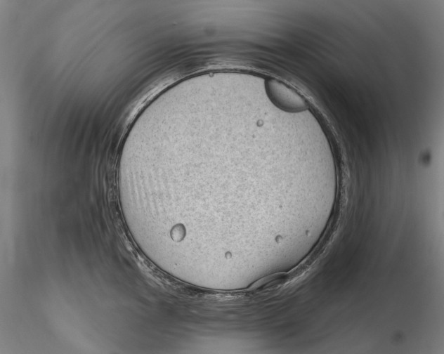 X0000115731145200912101446