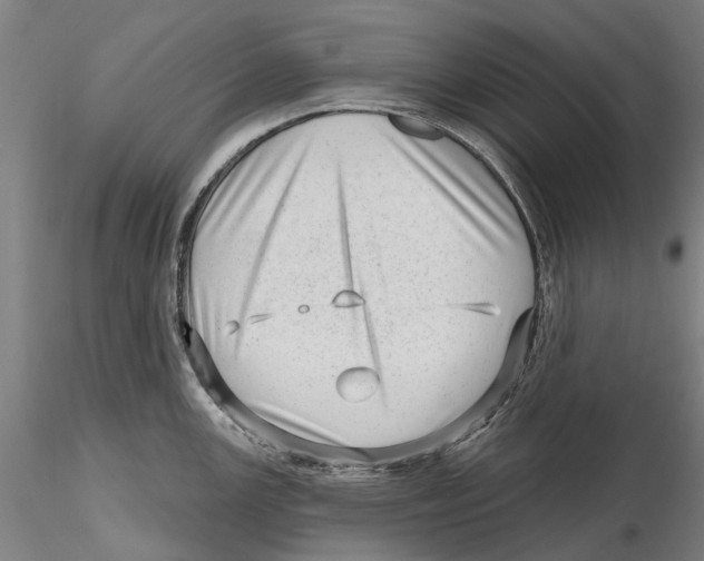 X0000115731147200912101446