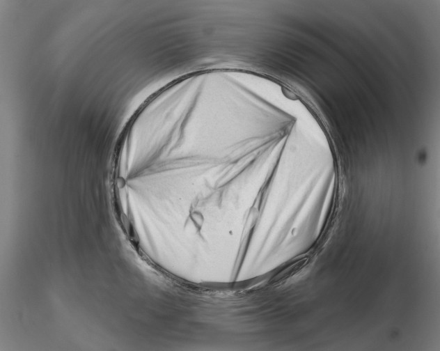 X0000115731149200912101446