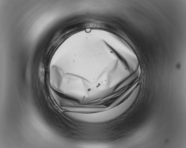 X0000115731151200912101446