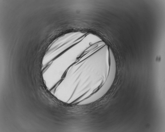 X0000115731153200912101445