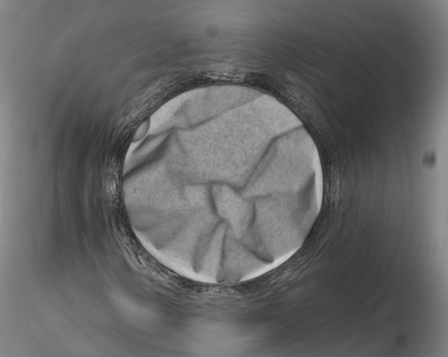 X0000115731154200912101445