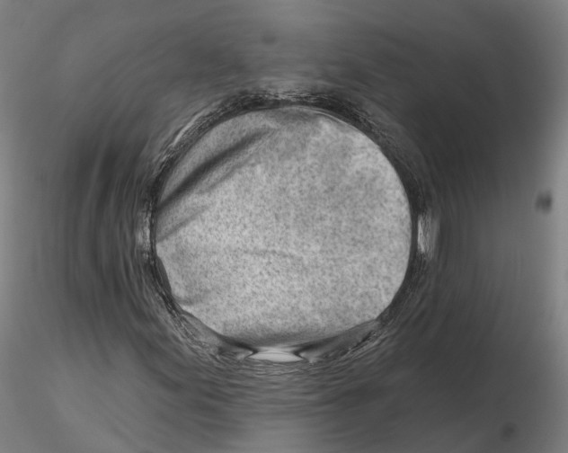 X0000115731155200912101445