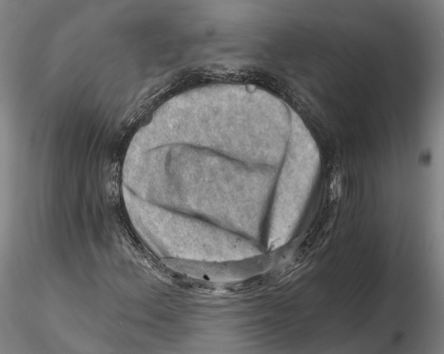 X0000115731156200912101445