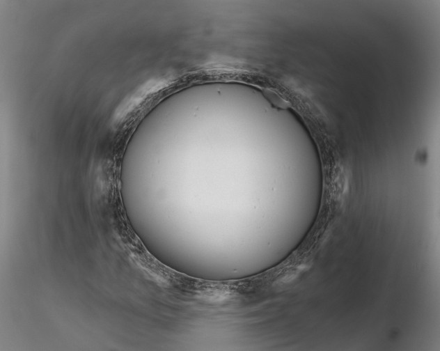 X0000115731157200912101445
