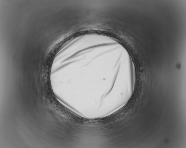 X0000115731159200912101445