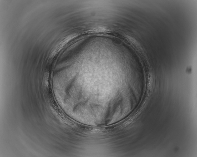 X0000115731161200912101445