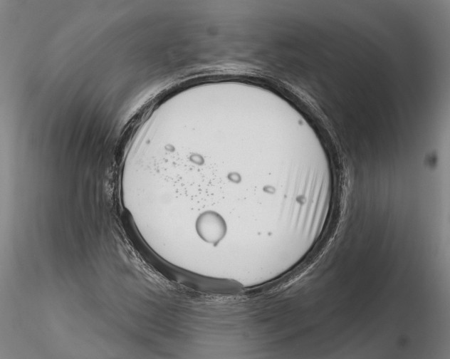X0000115731163200912101445