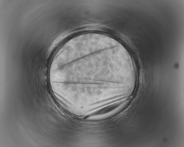 X0000115731164200912101445