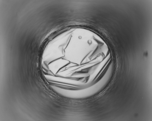 X0000115731165200912101445
