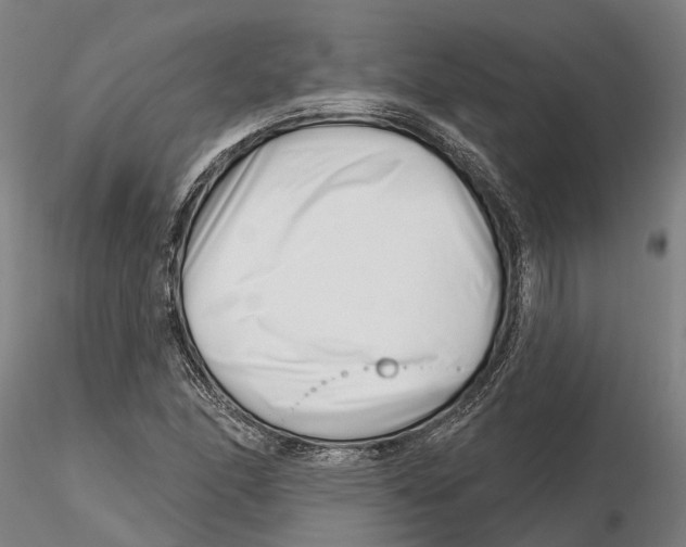X0000115731166200912101445