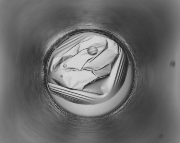 X0000115731167200912101445