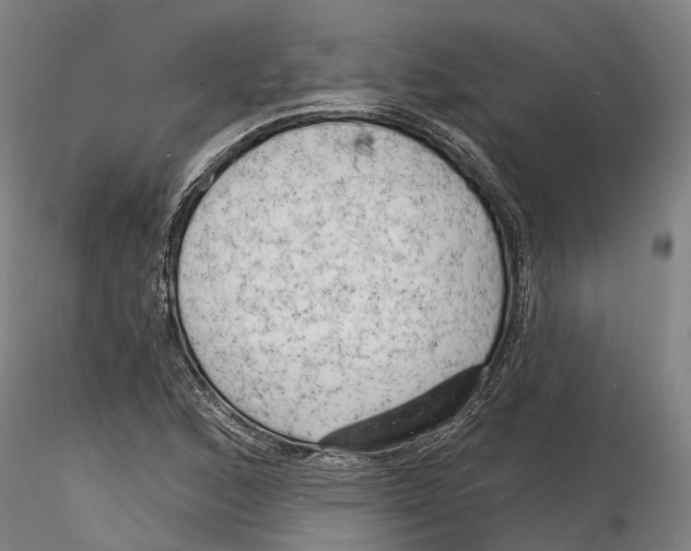 X0000115731168200912101445