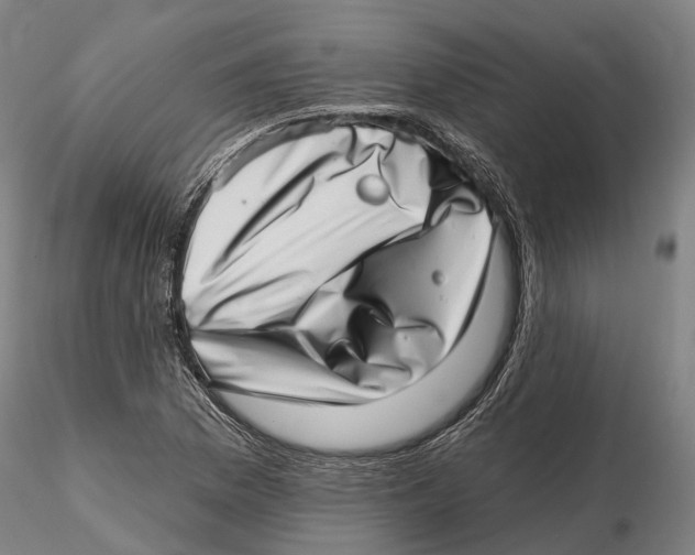 X0000115731169200912101445