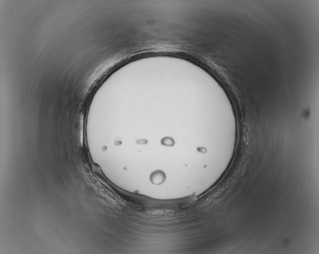 X0000115731171200912101445