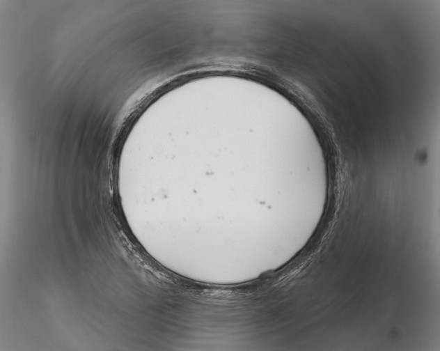 X0000115731172200912101445