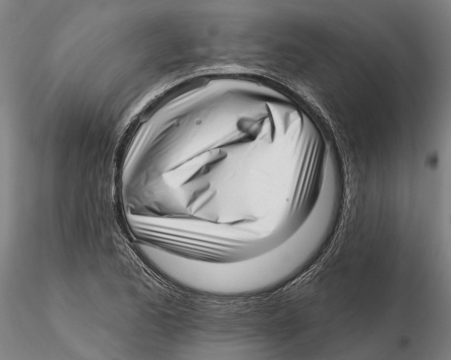 X0000115731173200912101445