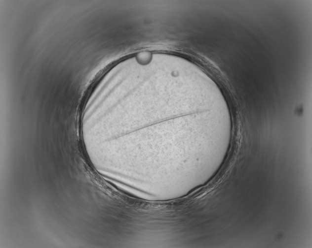 X0000115731174200912101445