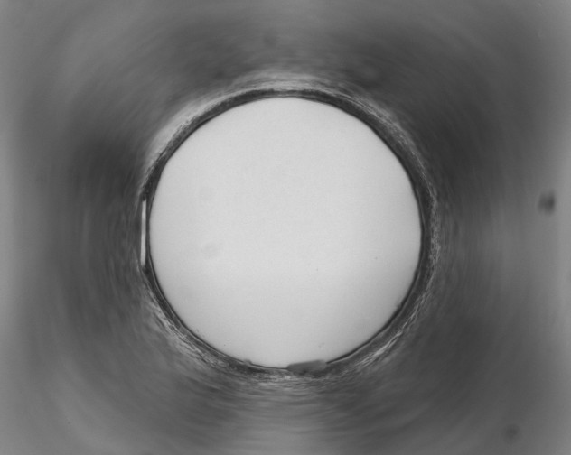 X0000115731175200912101445