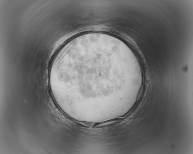 X0000115731176200912101445