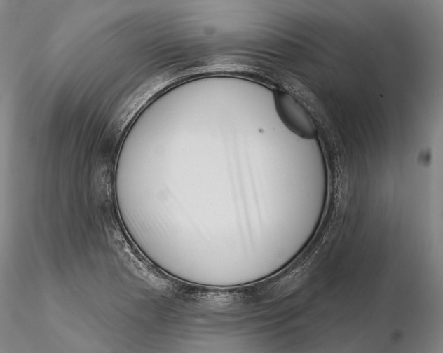 X0000115731177200912101445