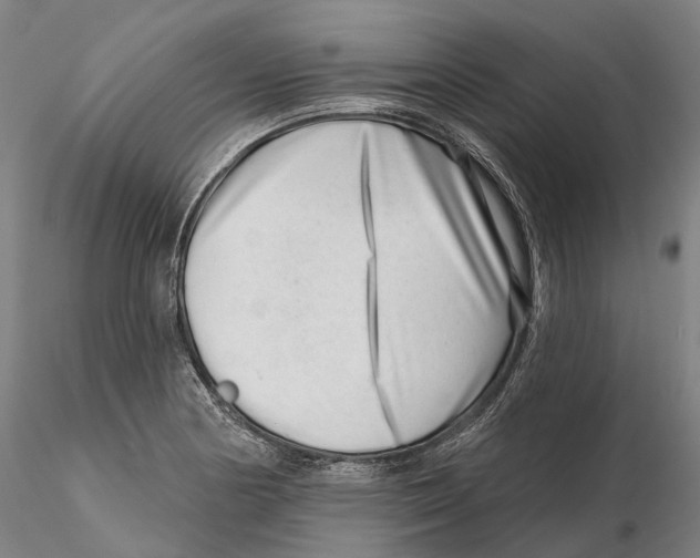 X0000115731178200912101445
