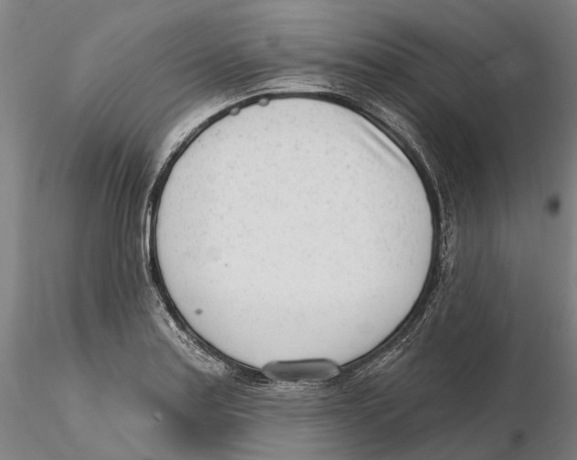 X0000115731179200912101445