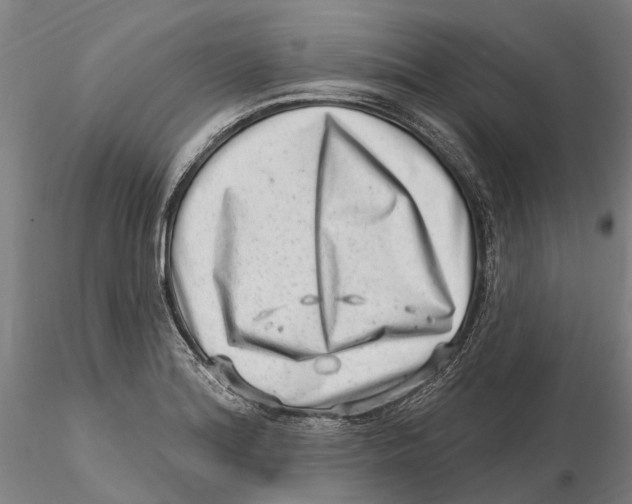 X0000115731180200912101445