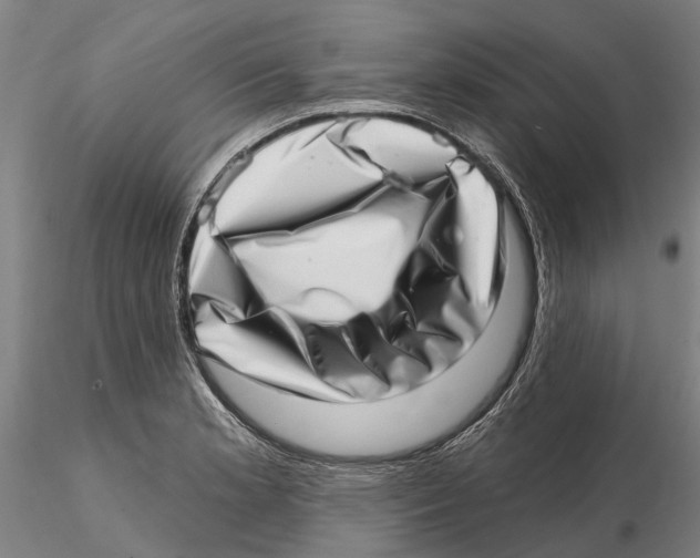 X0000115731181200912101445