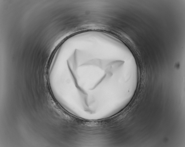X0000115731182200912101445