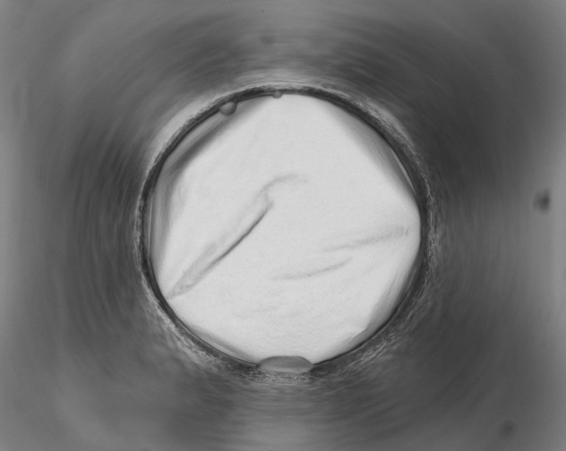 X0000115731183200912101445