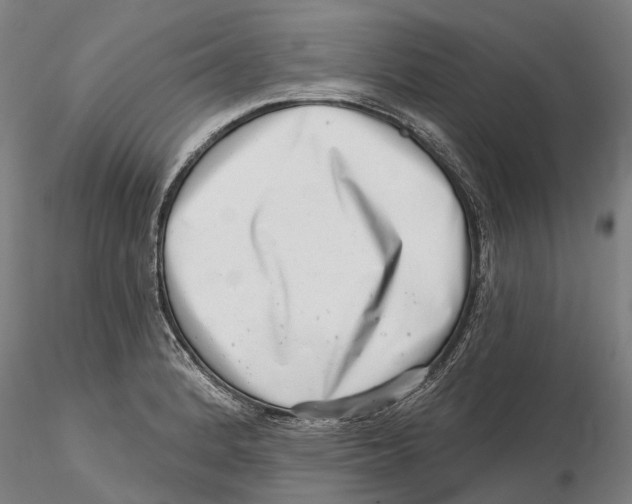 X0000115731184200912101445
