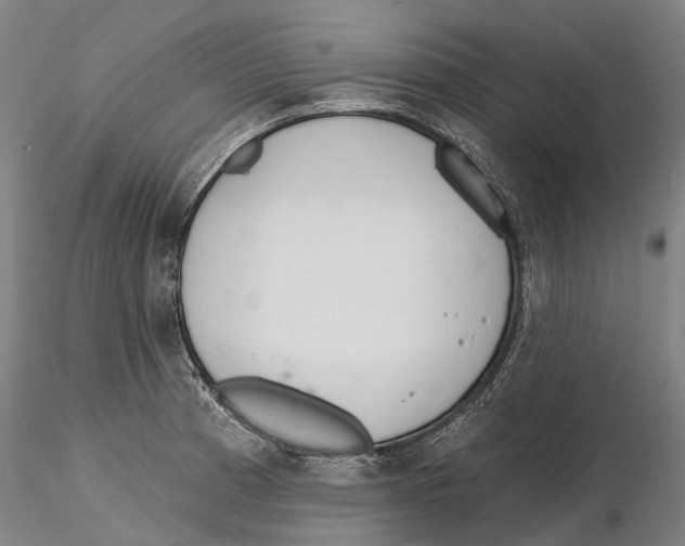 X0000115731185200912101445