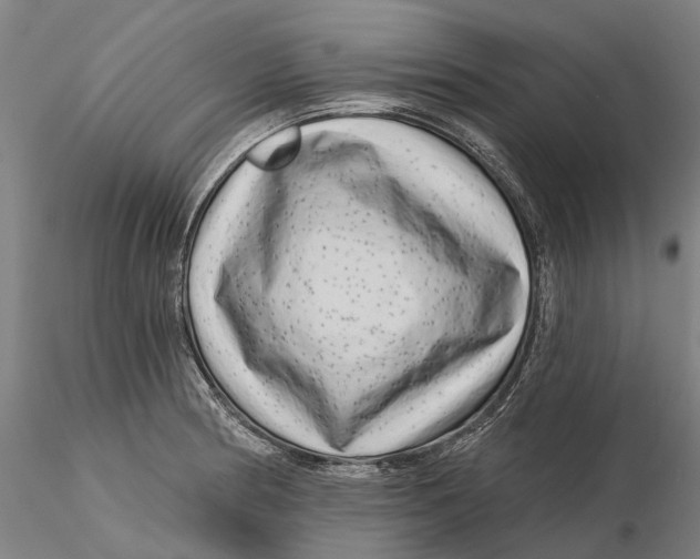 X0000115731186200912101445