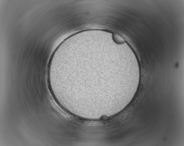 X0000115731187200912101445