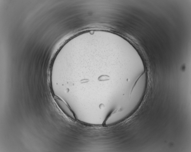 X0000115731188200912101445