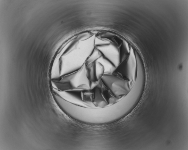 X0000115731189200912101445