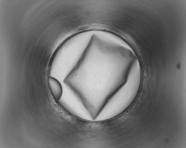 X0000115731190200912101445