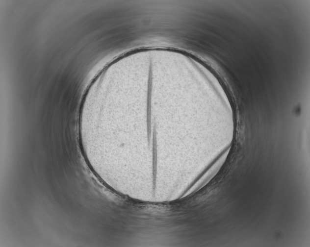 X0000115731191200912101445