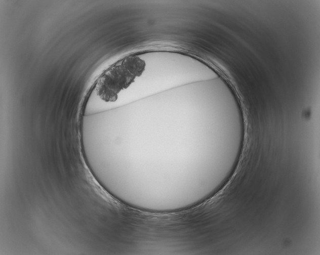 X0000115731192200912101444
