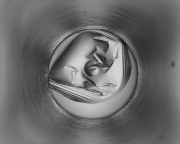 X0000115731193200912101444