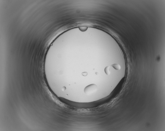 X0000115731194200912101444