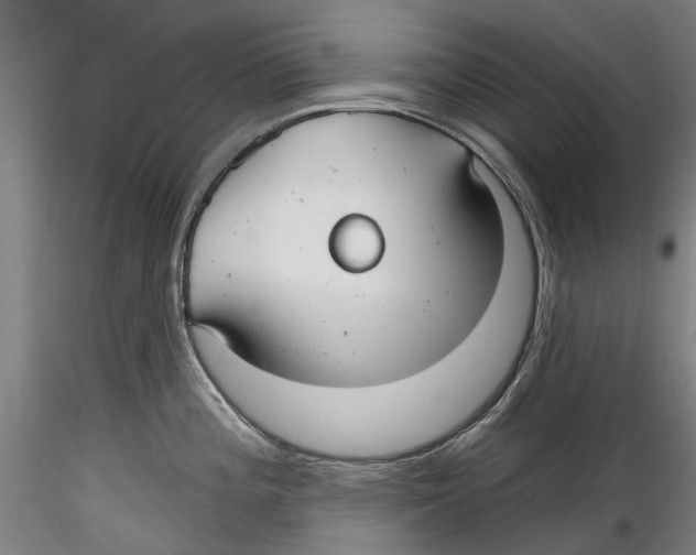 X0000115731196200912101444