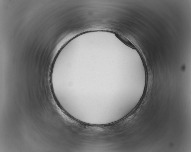 X0000115731197200912101444