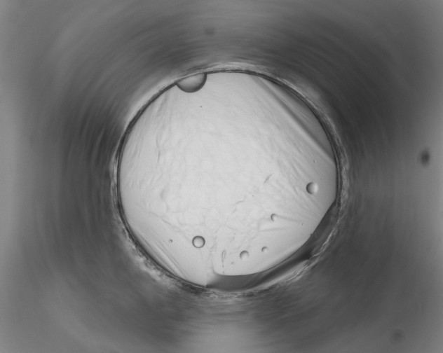 X0000115731198200912101444