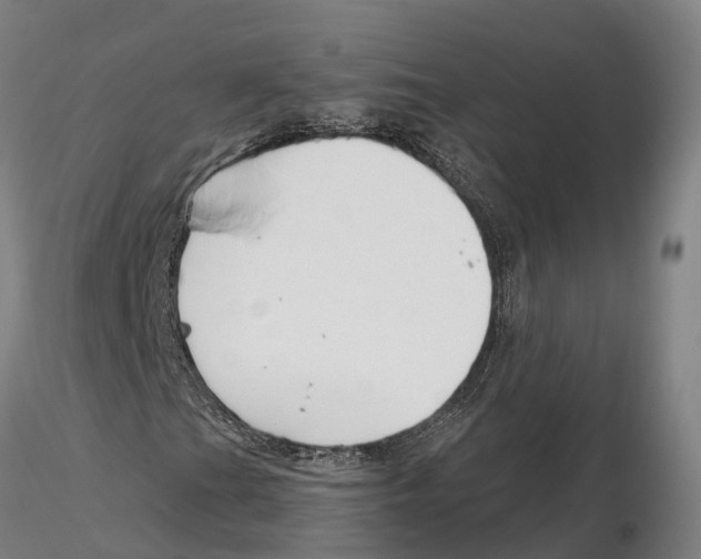 X0000115731201200912101444