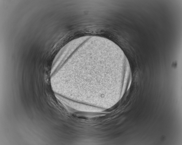 X0000115731202200912101444