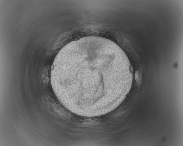 X0000115731203200912101444