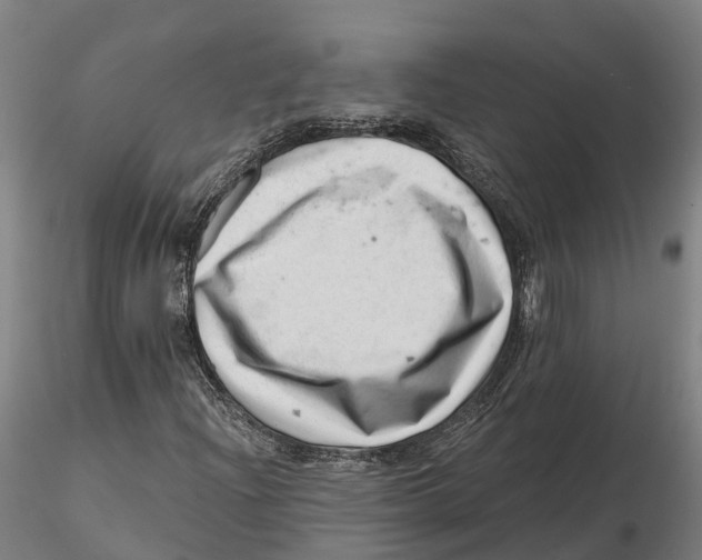 X0000115731204200912101444