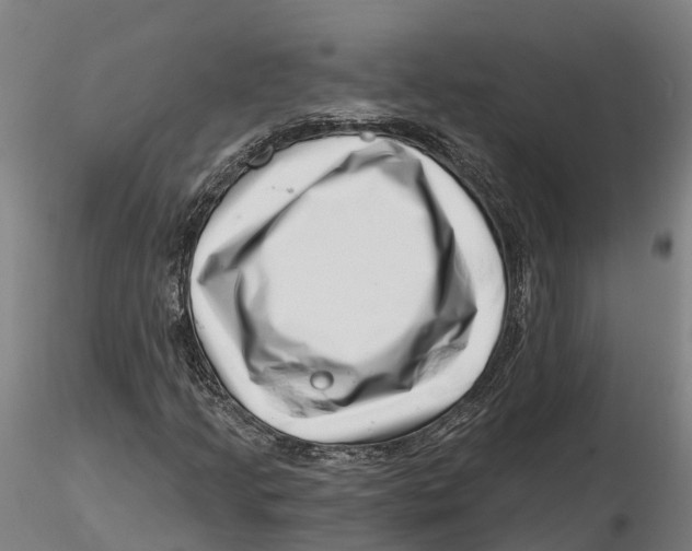 X0000115731205200912101444